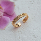 Bague anneau Canage de Un de Ces Quatre portée